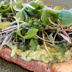 banner avocado toast